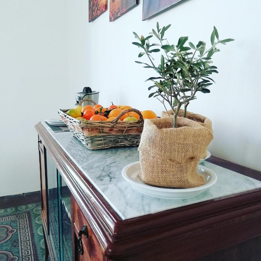 Ace Rooms Vsg 圣乔瓦尼镇 外观 照片